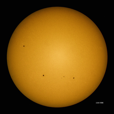 DSC_3871high-12-1-3k