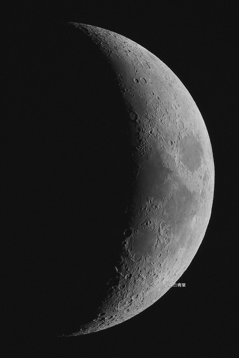 _DSC5264_lapl5_ap131025８ｋbw