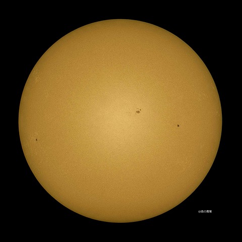 DSC_6383_lapl5_ap65692sharp-12-3k