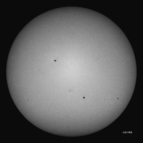 DSC_4870md-12-1snap-3k