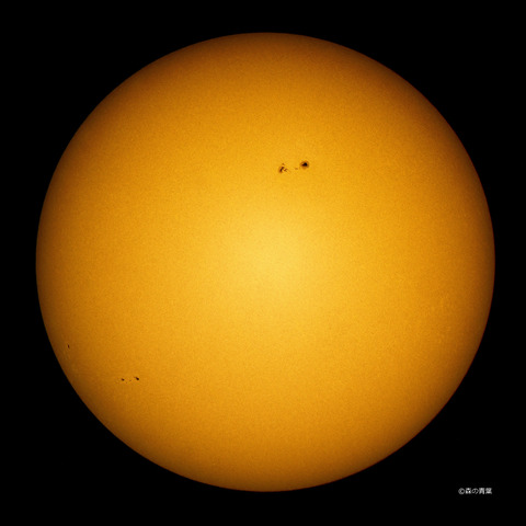 DSC_9850high-11-1-3k