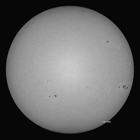 _DSC4732_lapl5_ap6977_conv50b