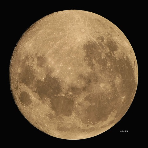 DSC_2468_lapl5_ap15098std2-11-3k