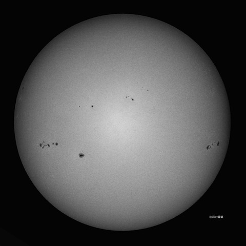 DSC_0500_lapl5_ap63306sun-11bw-3k