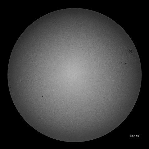 DSC_7102md-14-1snap-3k