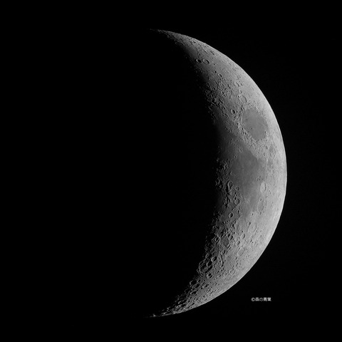 DSC_3235_lapl5_ap10276tuki-12mix12000sharpbw-3k