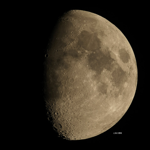 _DSC6165_X3_lapl5_ap46485-40tuki-11