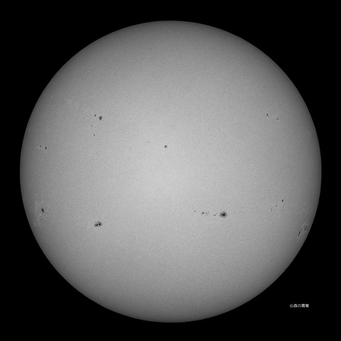 DSC_3197_lapl5_ap63031std2-09bw-3k