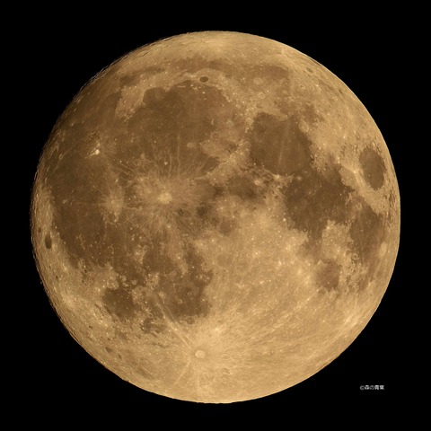 DSC_0800_lapl5_ap66132std-11us-3k