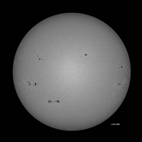 DSC_9911_lapl5_ap63399_conv-50bw-3k