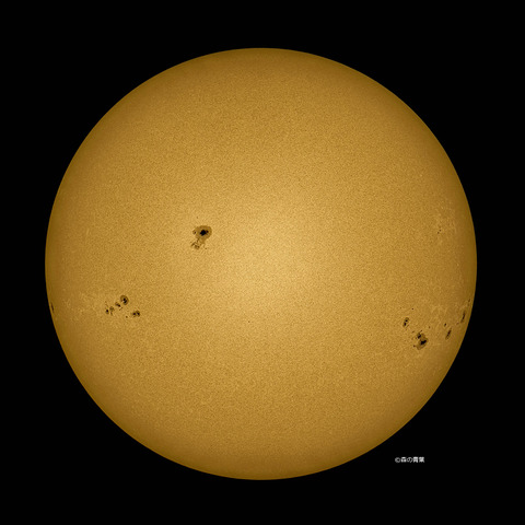 _DSC9183_lapl7_ap65247_conv50-3k