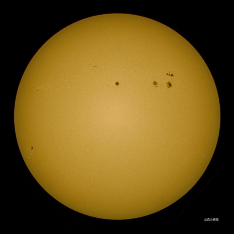 _DSC8456hd-10viveza-1P-4k