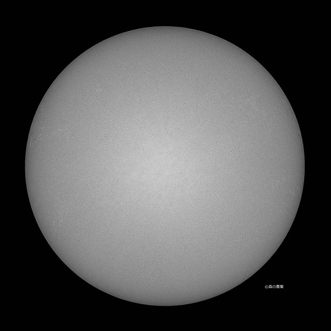 DSC_9552_lapl5_ap65161sunstd2-09-bw-3k