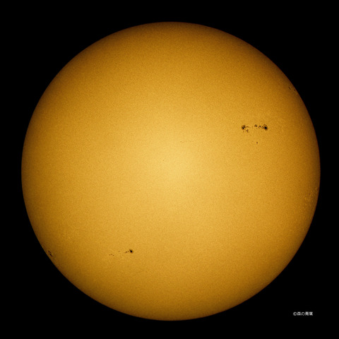 DSC_4534cont-14detail-1-3k