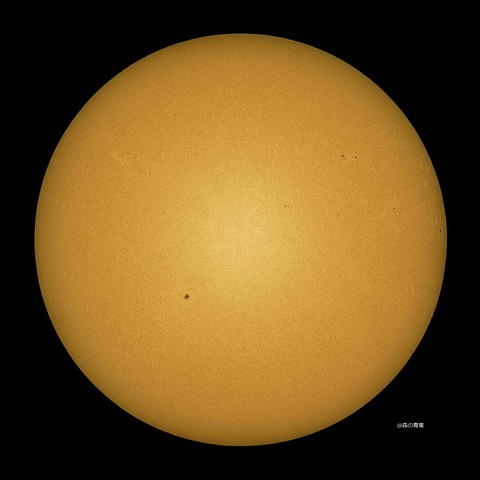 DSC_7263_lapl5_ap127241std2-10-3k