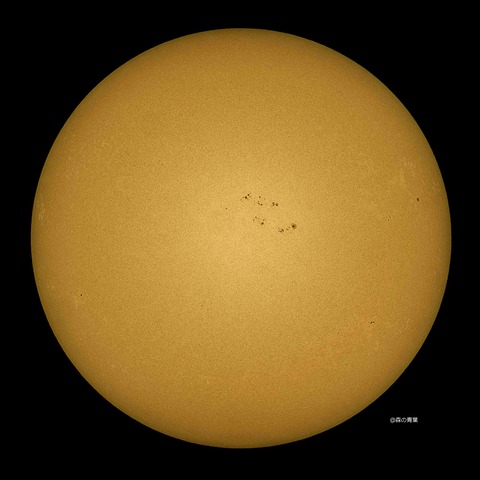 DSC_3523_lapl5_ap65298std2-11-3k