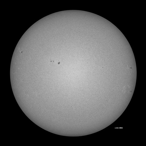 _DSC3504_lapl5_ap63203_conv80bw