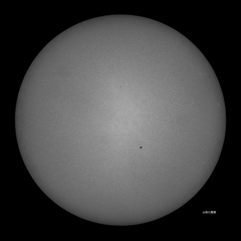 DSC_9974_lapl5_ap65619std2-09bw-3k