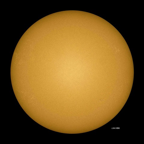 DSC_0881_lapl5_ap66053std2-11-3k