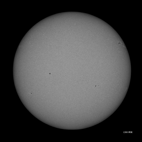 0176std-11-2port-nik-2k