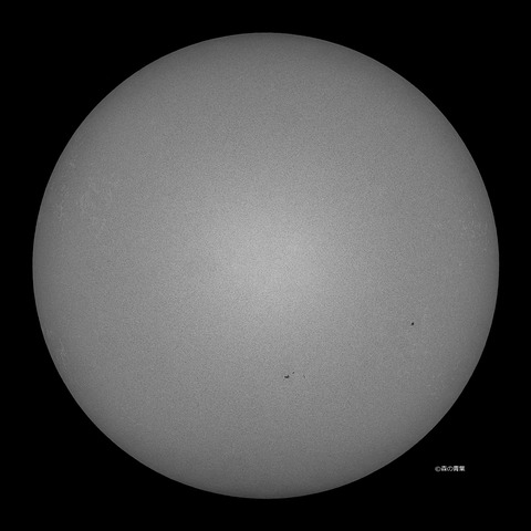 DSC_2992_lapl5_ap65834std2-11bw-3k