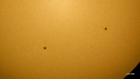 __DSC8456high-11-3-3k