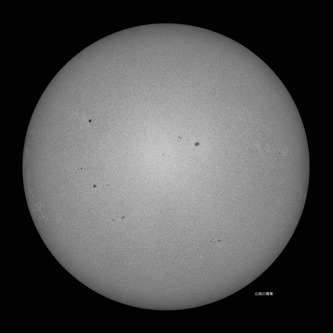 _DSC4193_lapl5_ap6651_conv80bw