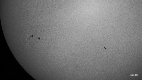 DSC_3964std-11-1snap-z-2k