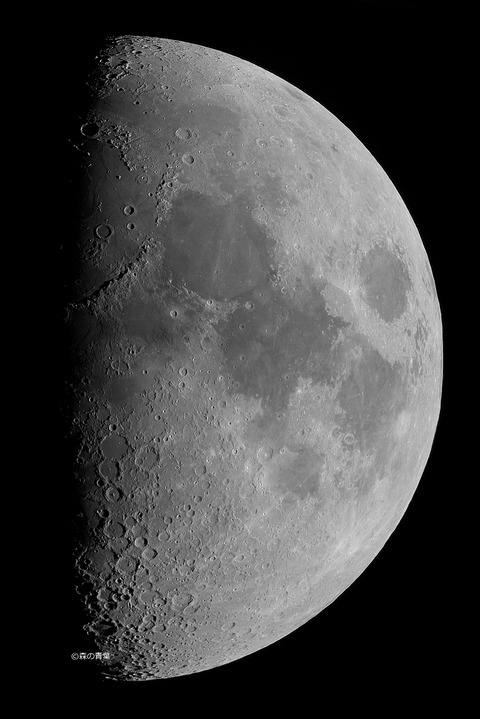 _DSC4040_lapl5_ap2103_conv80bw