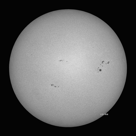 _DSC1116_stack_lapl5_ap64973_conv501b