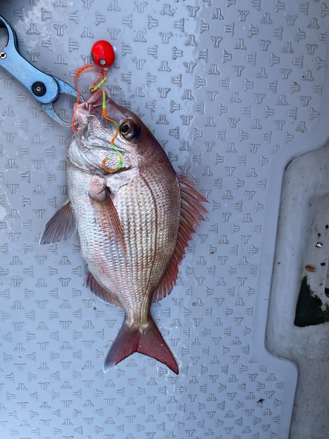 76409ED7-D657-4D0D-AB9E-D3522419B984