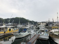 IMG_5151