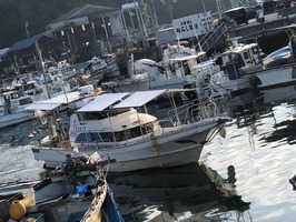 IMG_0584