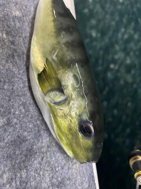 BE6B73B2-0E8F-4793-8829-D1251F274D00