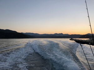 IMG_0257