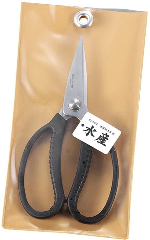 61kkNg9wtEL._AC_SL1001_