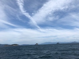 IMG_1157