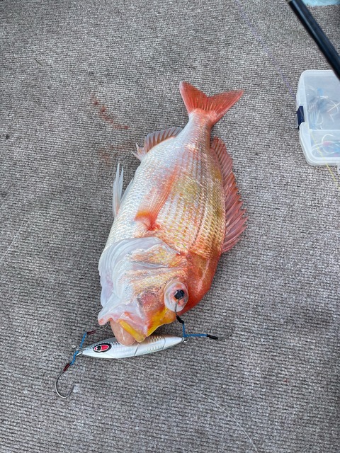 F15B645E-9EDA-4C81-8258-AAA6EC56B62E