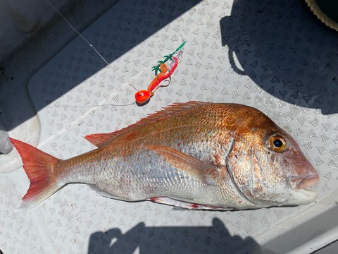 606D83CF-65B0-4169-807A-A486A15FCB4D