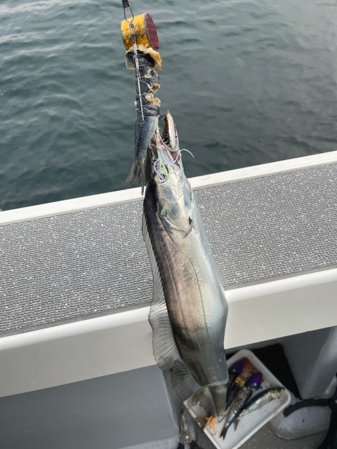 F249DDE8-458F-4A4D-951E-FC805447F31A