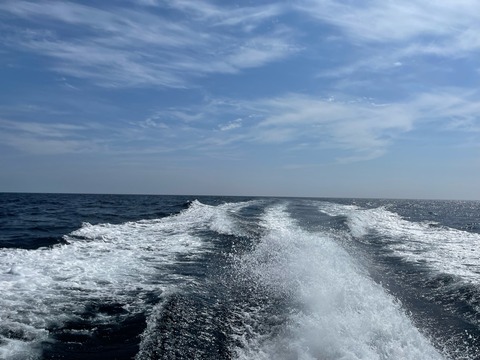 EECCC23D-1BD2-4BAB-9504-540225B5954F