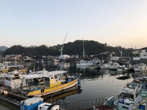 IMG_4170