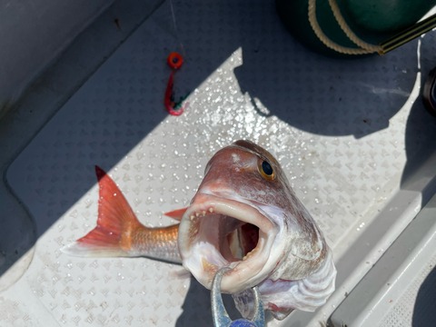 66F501E7-3E66-48B3-B875-98AF31486461