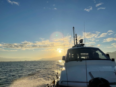 2330C499-9D38-476B-8DE9-267198603D48