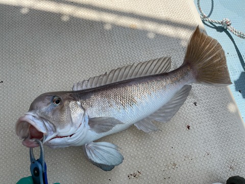 3BB29D17-8054-47C5-88DF-EF10C7E1961B