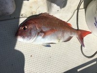 IMG_2893