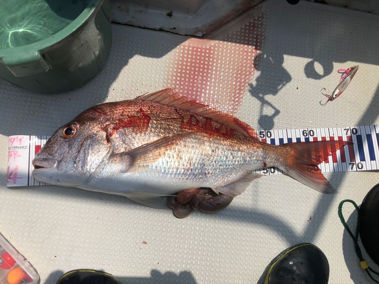 海風にふかれて 院長日記 海風にふかれて 院長日記