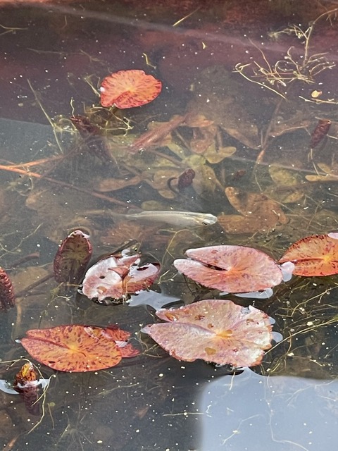 08049205-780F-4FFF-A473-6E3CDF2C2EDA