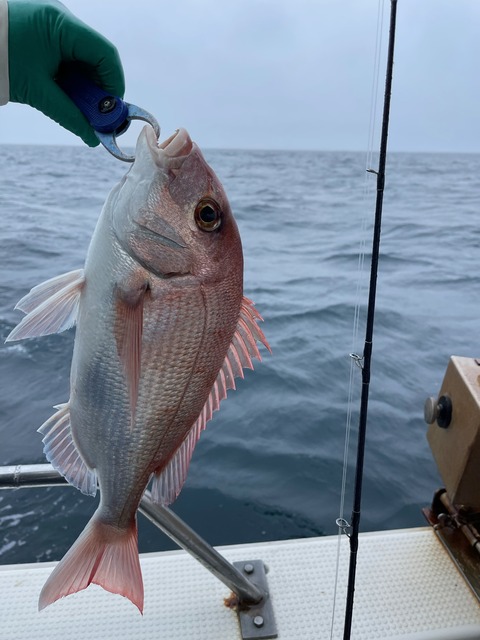 93EA1098-FFD5-466B-8FE5-20D1073E31B3