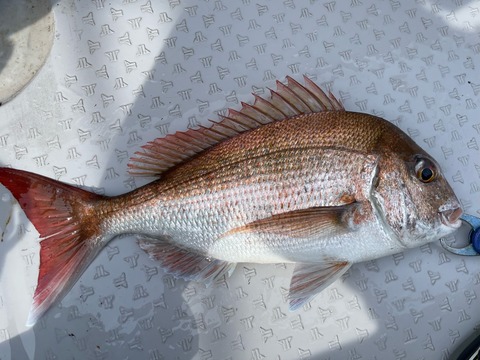 33BA9507-5091-49E5-A85F-FDFB0DE24804